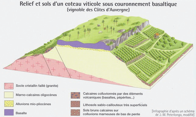 Relief et sols d'un coteau viticole sous couronnement basaltique (vignoble des Côtes d'Auvergne)